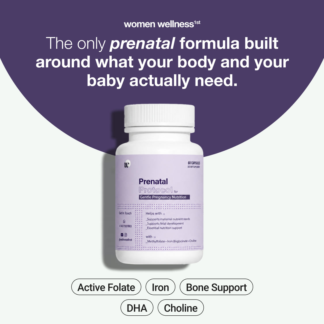 Prenatal Protocol