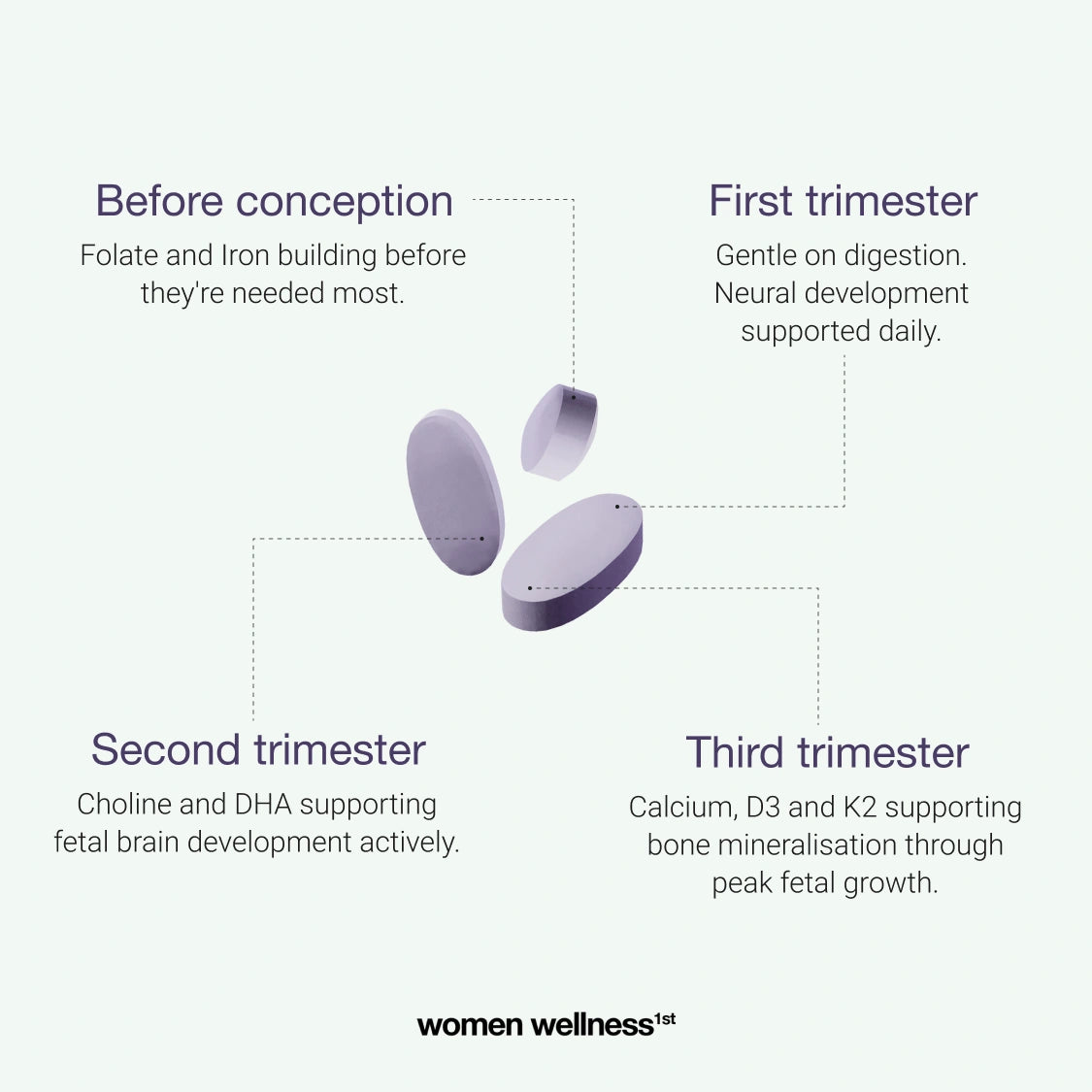 Prenatal Protocol