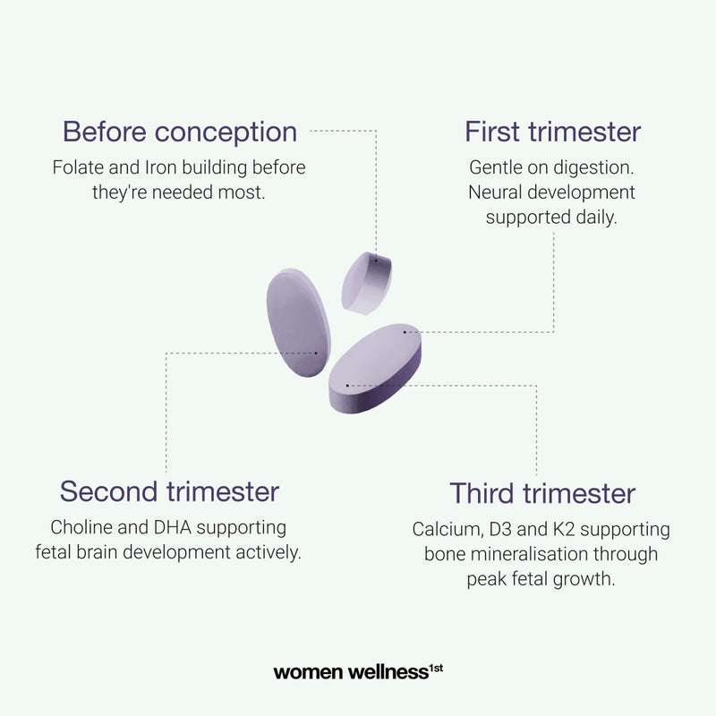 Prenatal Protocol