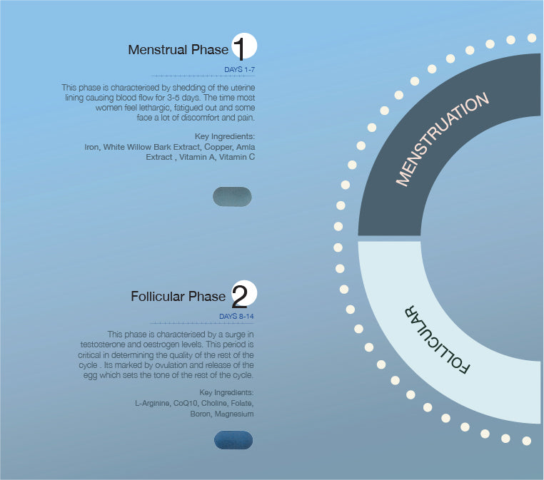 Cyclical Multivitamin Protocol (Copy)
