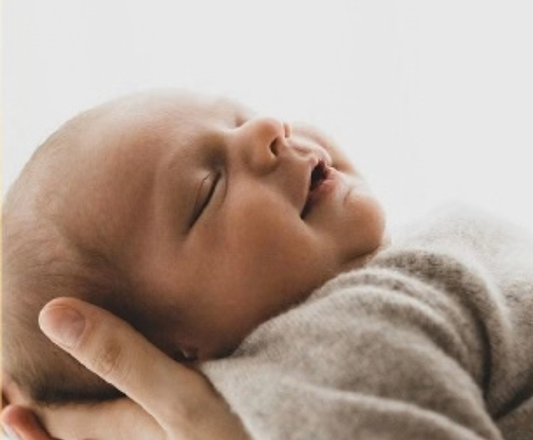 Fertility Masterclass