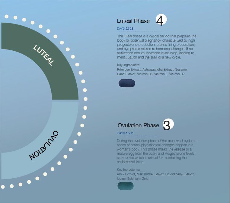 Cyclical Multivitamin Protocol (Copy)