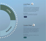 Cyclical Multivitamin Protocol (Copy)